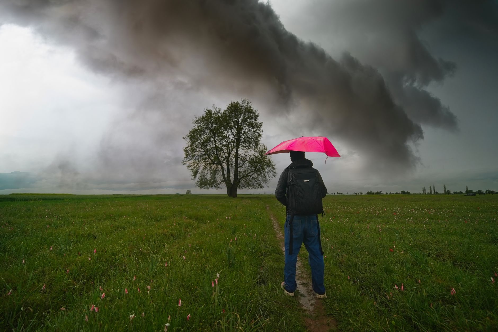 Catastrofizzazione: quando il cervello vede sempre il peggio