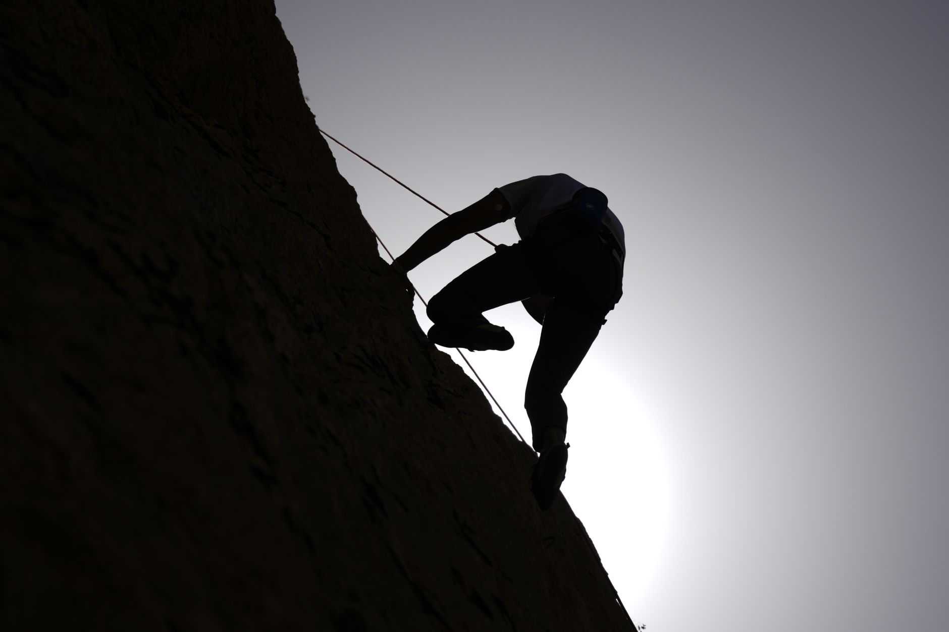 Growth Mindset: Strumento Utile o Buzzword Aziendale?